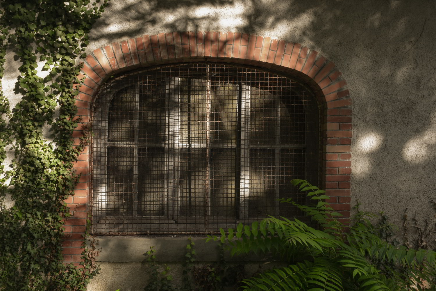 grille_selva