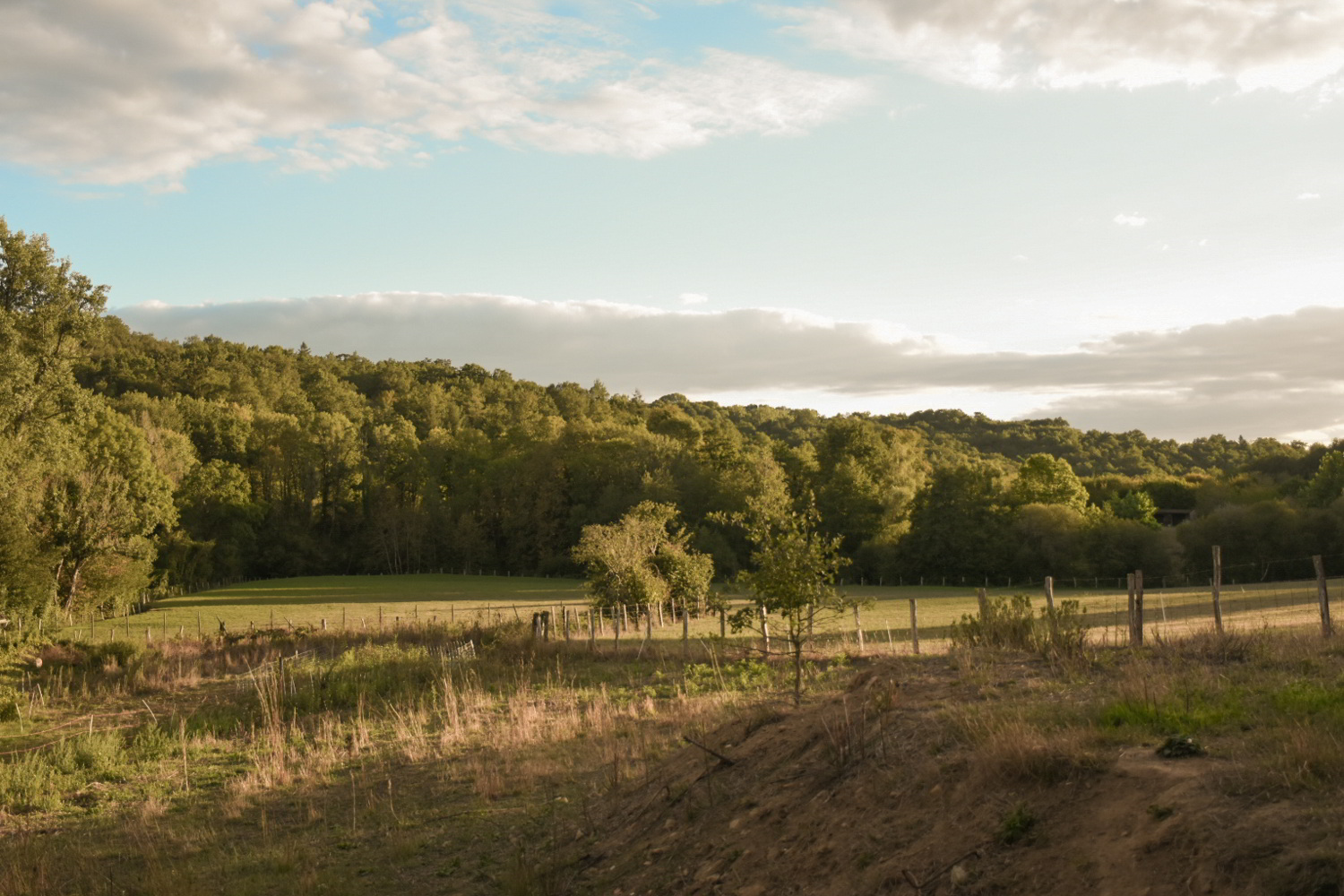 paysage_selva_sud