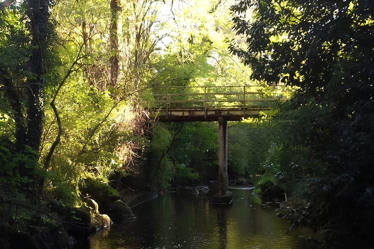 pont_entree_selva